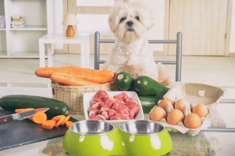 From Bone Broth to Raw Greens: Superfoods Your Dog Can Benefit From Too