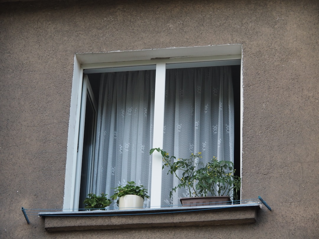 How Window Choices Impact Energy Efficiency and Home Comfort Levels ...